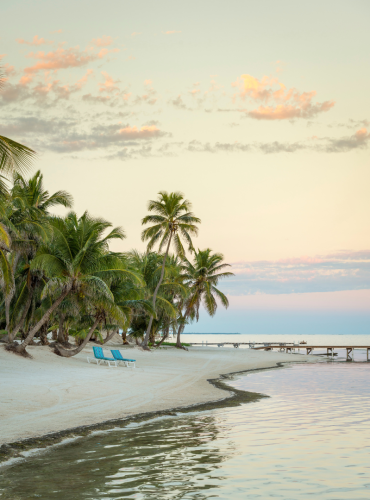 tropical dest